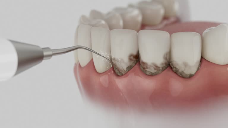 Reliable Dental contractor in Woodburn, VA by Dentist Open Now